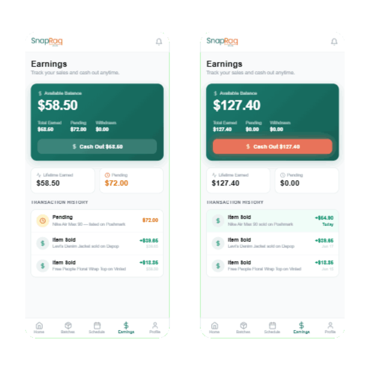 SnapRaq customer portal showing item status and payouts